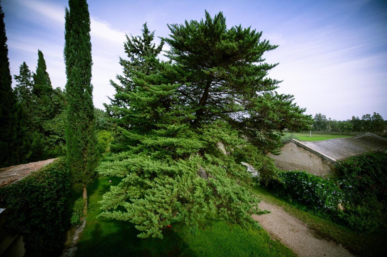 كاستيلانيتا مارينا Masseria Perronello Country House المظهر الخارجي الصورة