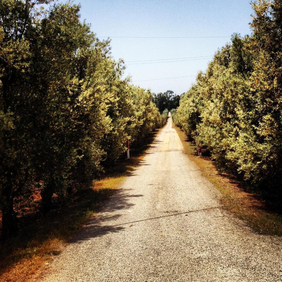 كاستيلانيتا مارينا Masseria Perronello Country House المظهر الخارجي الصورة